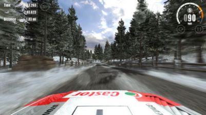  RushRally3DEMO