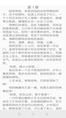 镇国小说