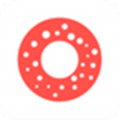 /app/2555.html