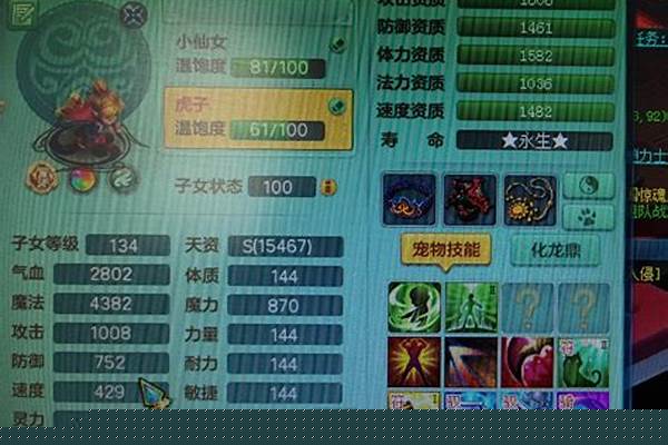 神武化生孩子加点和打书