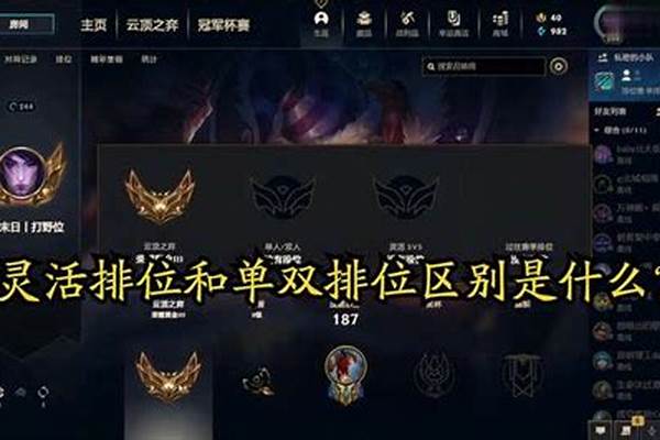 灵活排位和单双排的区别在哪