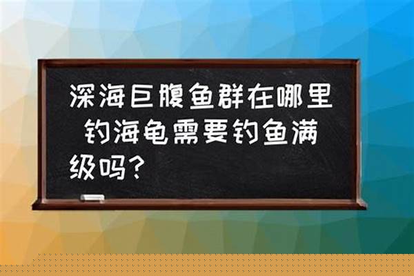 深海巨腹鱼去哪里钓