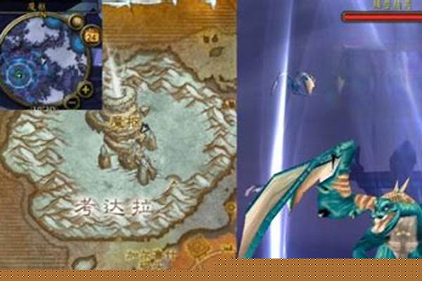 科拉丝塔萨找不到人