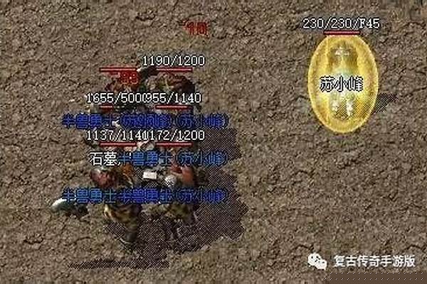 法师多少级招半兽勇士