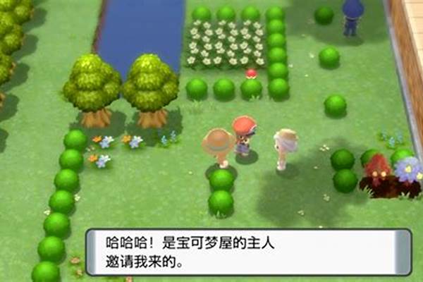 宝可梦珍珠钻石复刻二周目