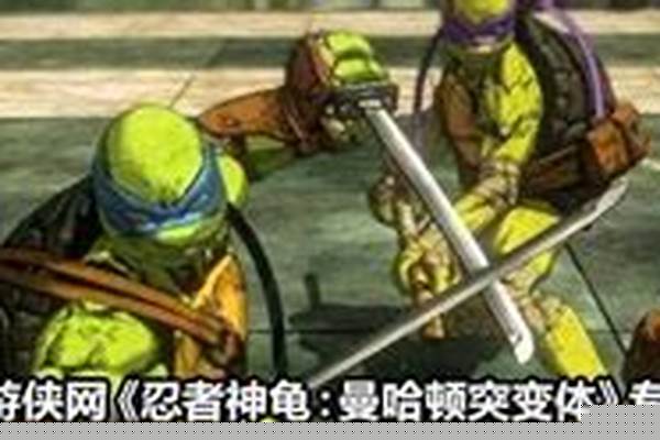 忍者神龟秘籍大全