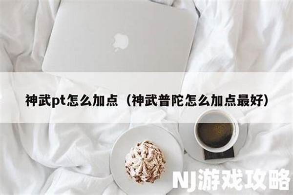神武普陀怎么加点最好