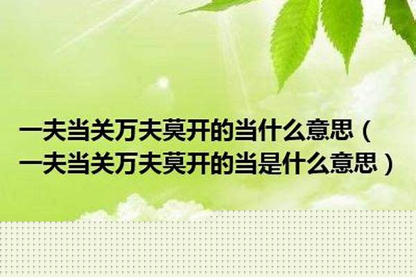 一夫当关能挡什么伤害