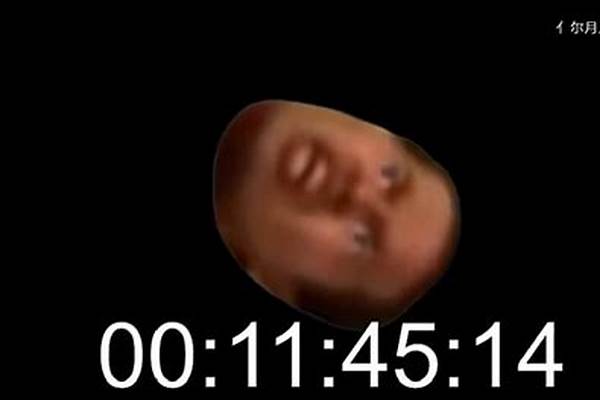 仙侠世界玄兽怒吼和咆哮哪个好用