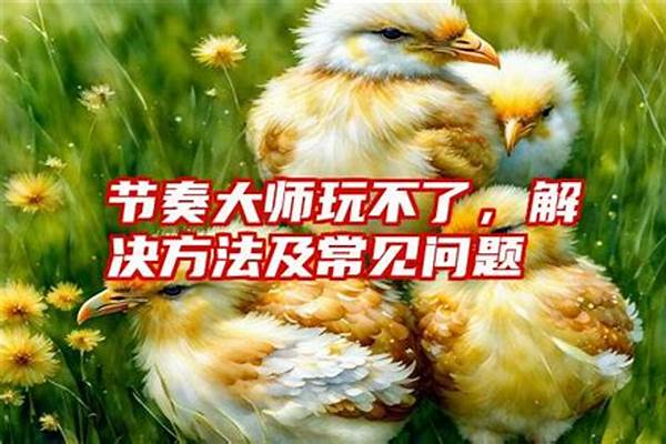 为啥节奏大师玩不了