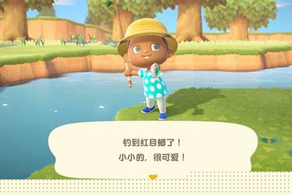 动物之森钓鱼大赛