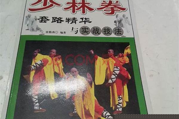 九阴真经怎么堆属性