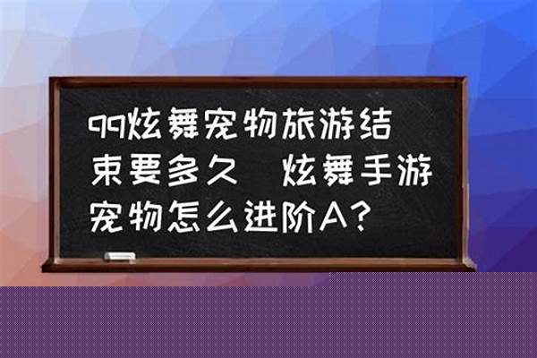 炫舞里的宠物怎么进阶