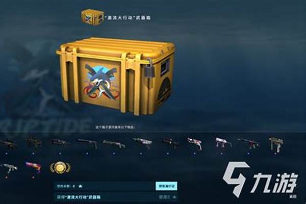 激流大行动武器箱