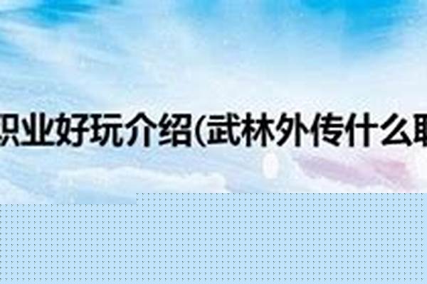 武林外传什么职业好玩