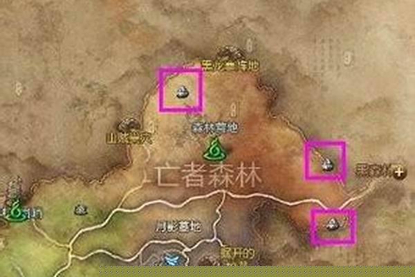 剑灵御龙林进化石怎么用