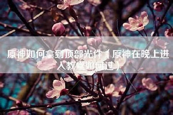 原神进入教堂路线