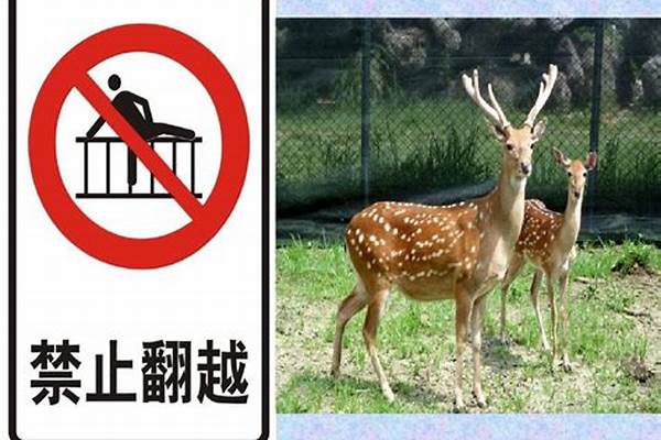 动物园里有哪些禁止标志