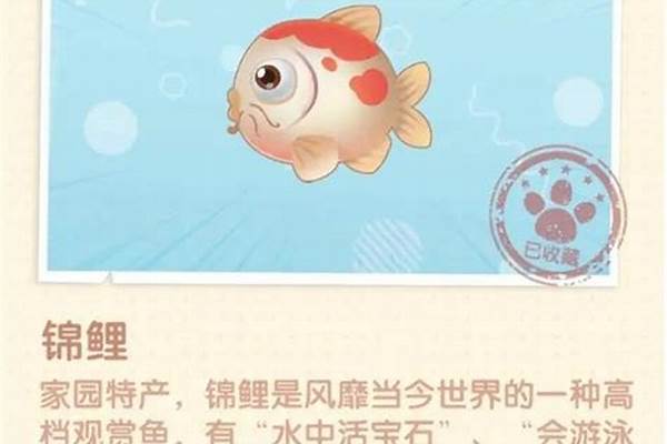 摩尔庄园锦鲤哪里钓