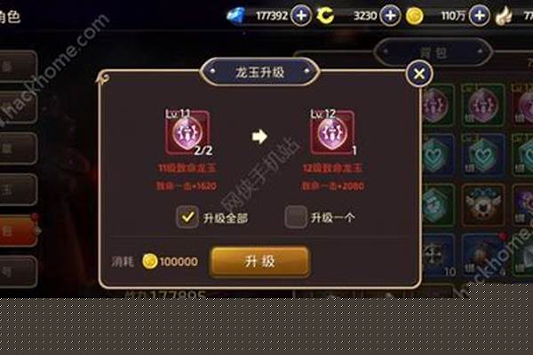 龙之谷生命体质哪个好