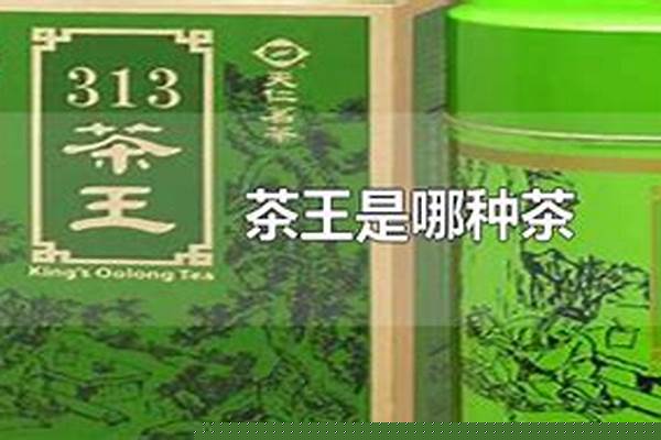 鹿鼎记的茶是什么茶