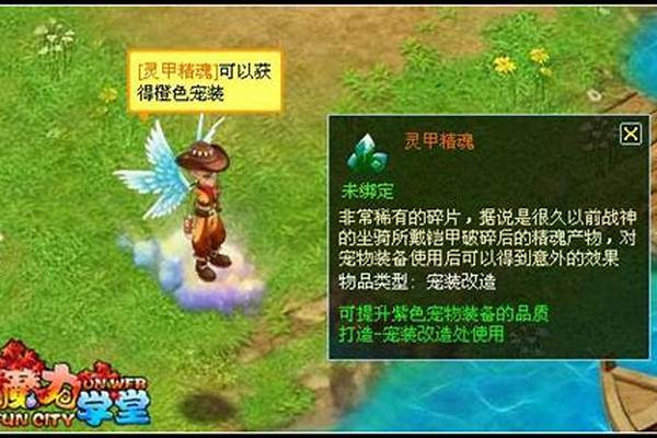 魔力学堂灵甲碎片