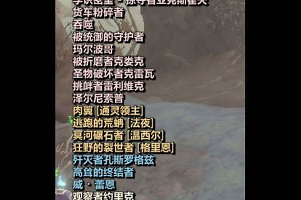 占卜着的符文短棒