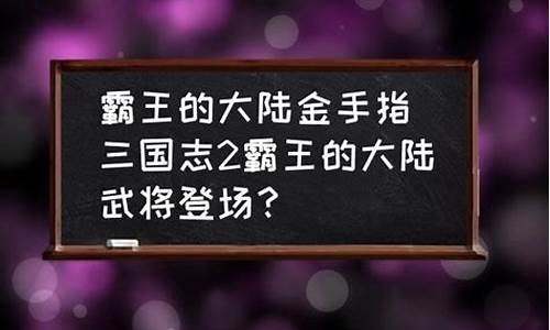 霸王的大陆金手指怎么用