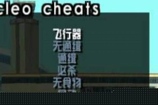 侠盗圣安地列斯秘籍在哪用