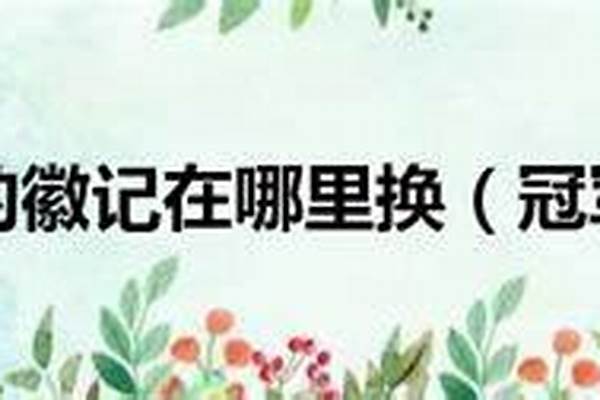 冠军的徽记一天几个