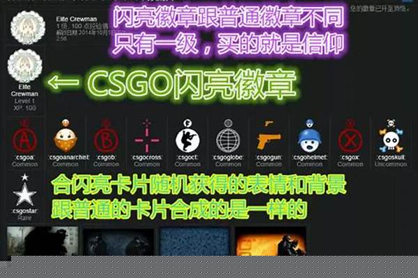 反恐精英任务徽章商店