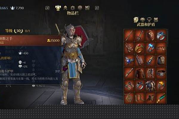国王的恩赐传奇妻子攻略