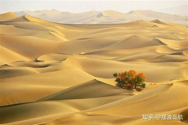 塔克拉玛干沙漠有多大
