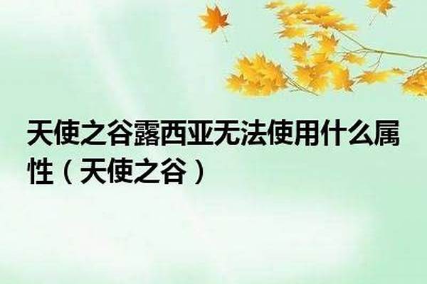 天使之谷露西亚无法使用什么属性
