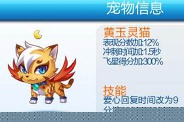 天天酷跑什么宠物最强