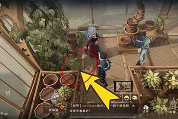 成熟的米布米宝让