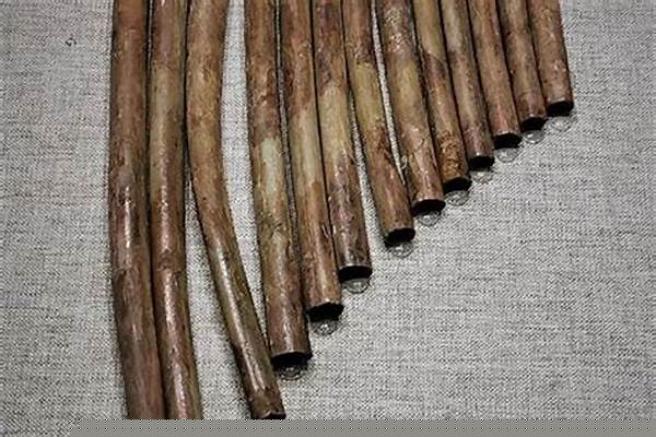 排箫先祖来几天(排箫先祖在哪)