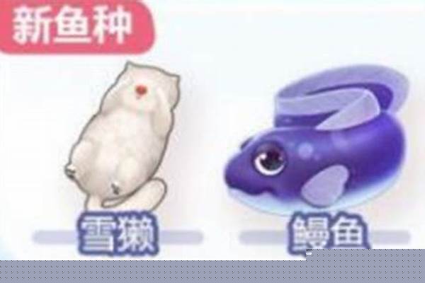 摩尔庄园鳗鱼怎么钓攻略