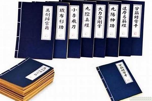 武林秘籍还是秘笈