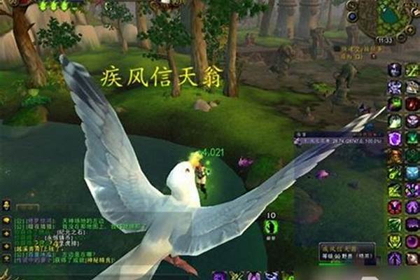 永恒岛信天翁路线