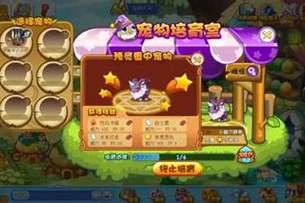 洛克王国升级攻略大全