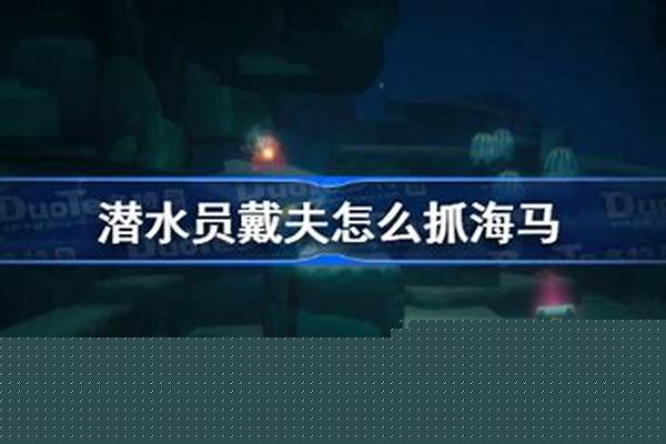 潜水员戴夫抓海马工具