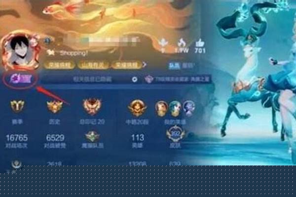 王者荣耀星会员入口关闭了吗