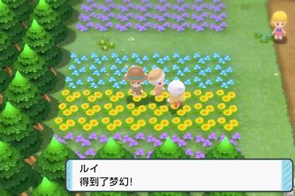 珍珠钻石攻略本电子版