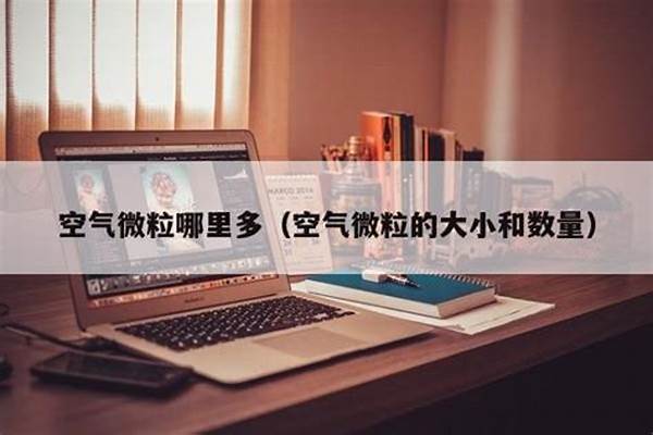 空气微粒的大小和数量