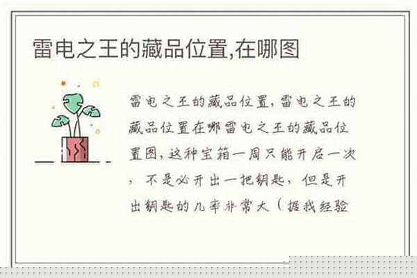 雷电之王的藏品位置(雷电之王的藏宝库)