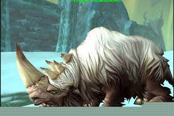 魔兽世界猎人稀有宠物技能