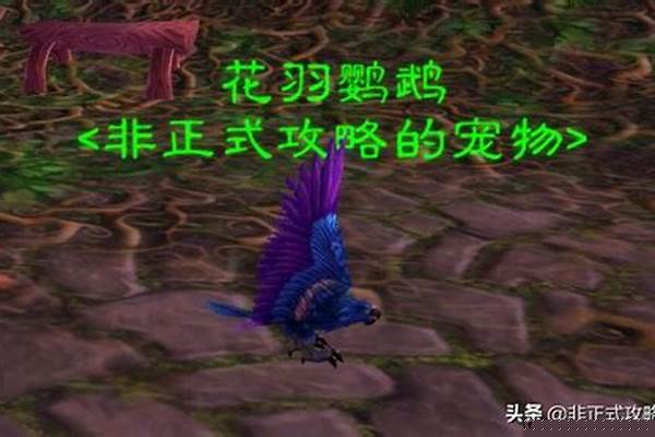 魔兽世界花羽鹦鹉掉落位置
