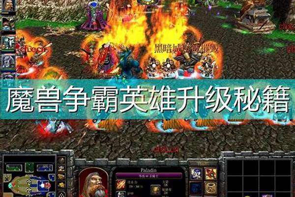 魔兽争霸英雄升级秘籍(魔兽争霸英雄简称)